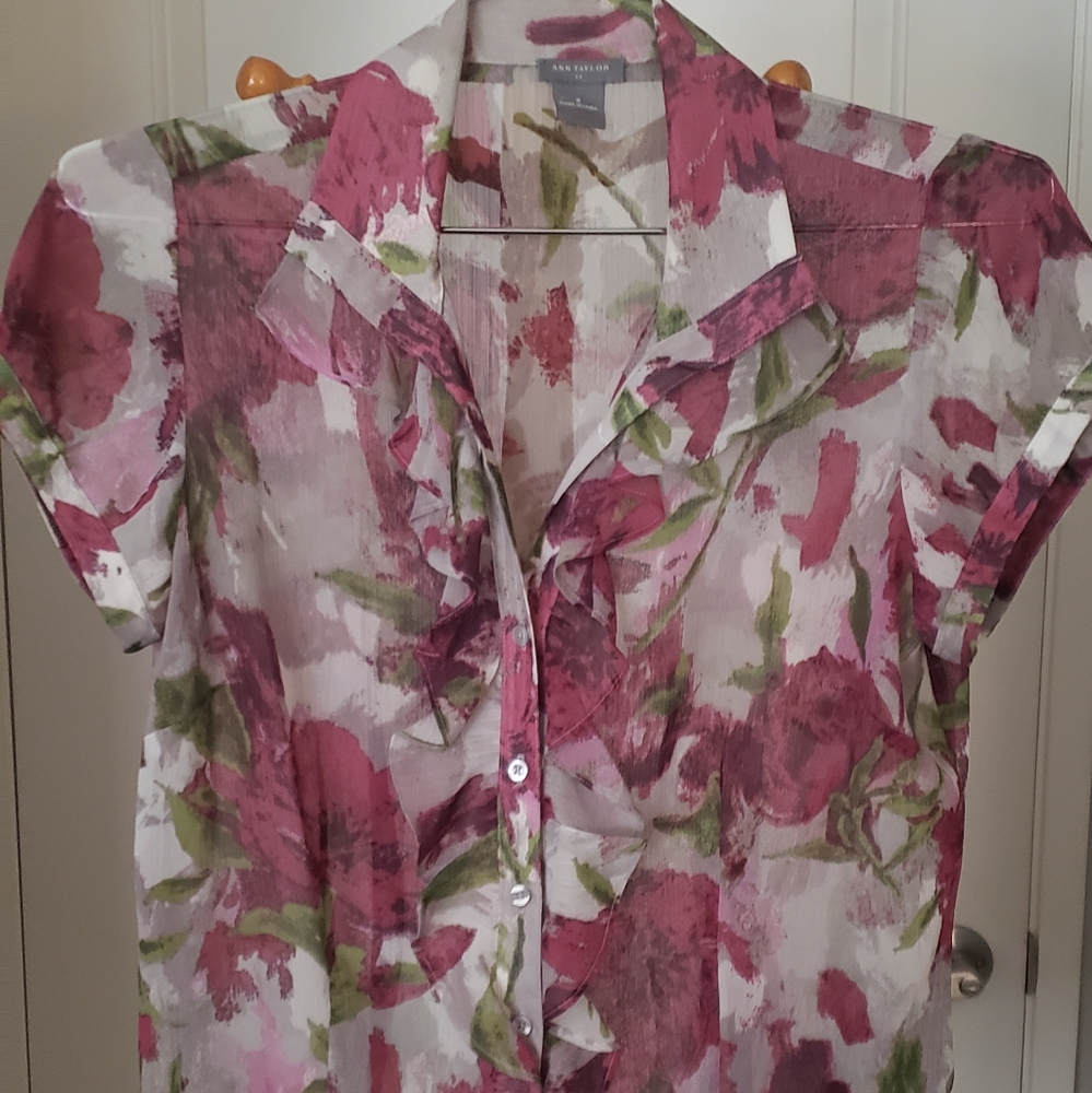 Ann Taylor Sheer Blouse